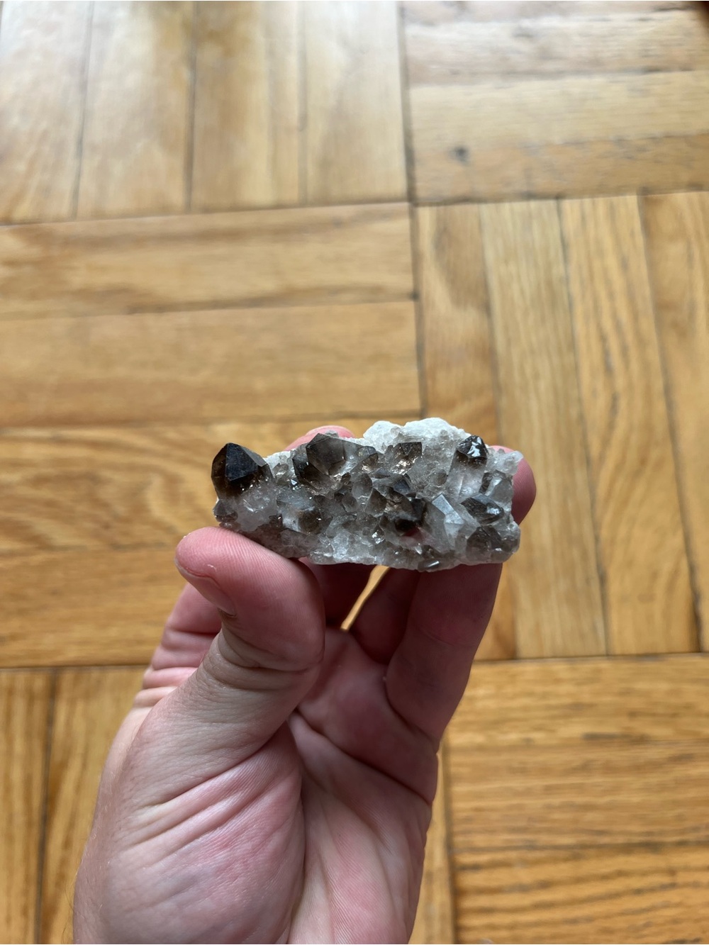 Natural smoky quartz cluster